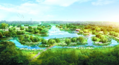 朝陽 通州 大興三區交界將建2.5萬畝森林公園