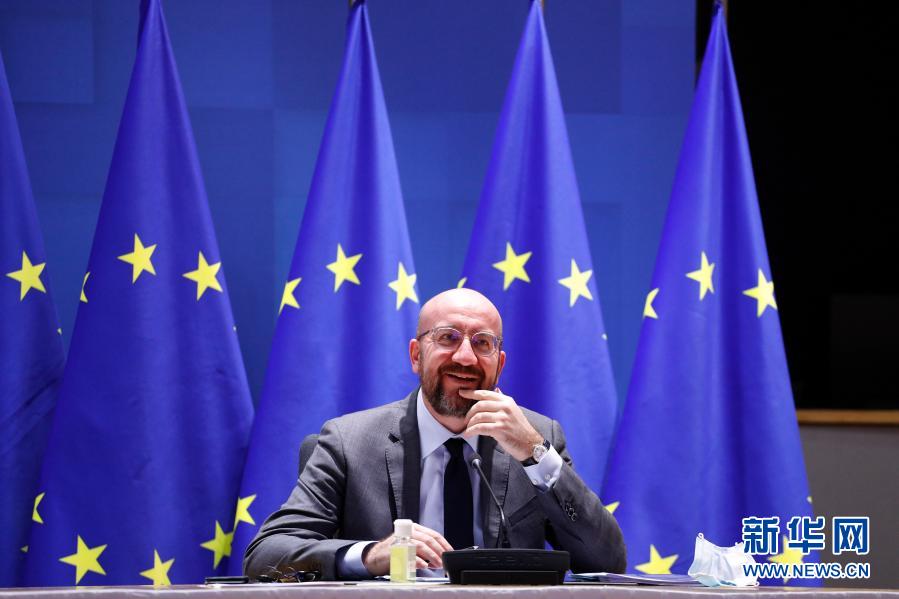 欧盟领导人举行视频会议 讨论新冠疫情