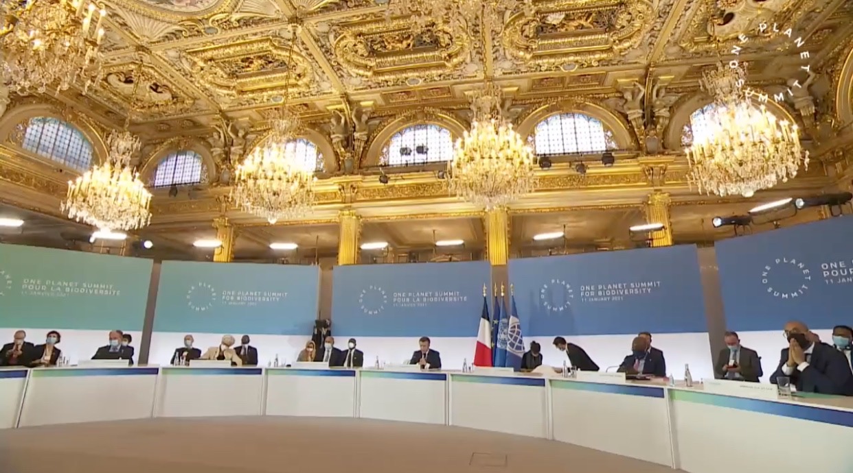 德国总理默克尔,欧盟委员会主席冯德莱恩等约30多名各国政府首脑,政府