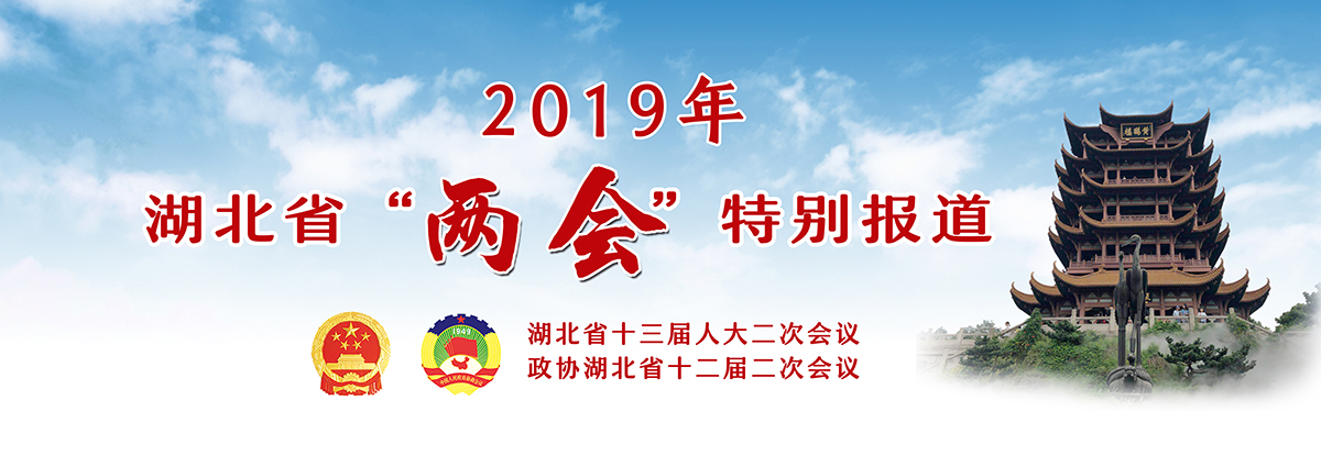 2019年湖北省“兩會”特別報道_fororder_兩會banner