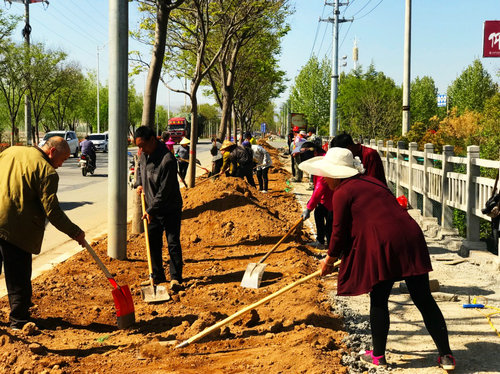 【河南供稿】三門峽市盧氏縣首條城市生態健康步道將在“五一”前建成