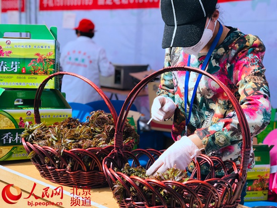 北京平谷第五届香椿文化节开幕 采摘季将持续到五月中旬
