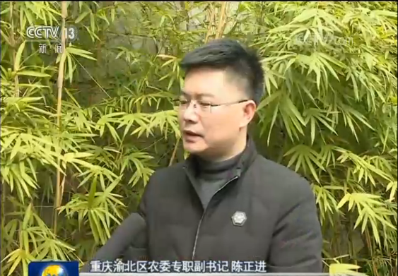 春耕备耕正当时 各地有序推进生产不误农时