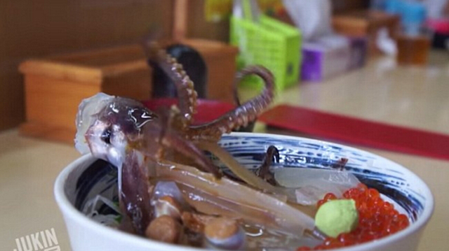 会跳舞的鱿鱼盖浇饭走红网络 会跳舞的鱿鱼盖浇饭走红网络