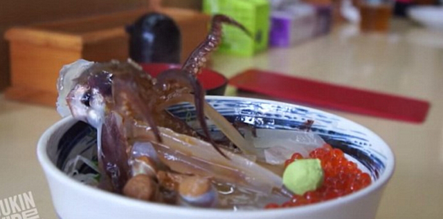 会跳舞的鱿鱼盖浇饭走红网络 会跳舞的鱿鱼盖浇饭走红网络