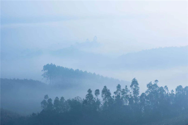 “中國氧都”上思縣：雲山霧海   壯美無比