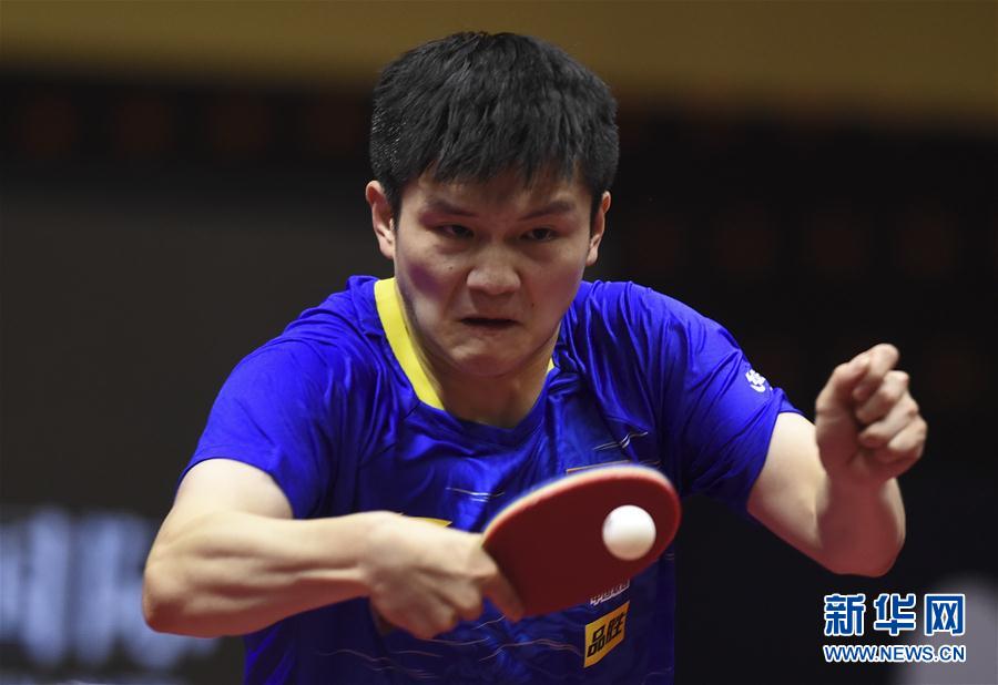 卡塔尔公开赛：樊振东夺得男单冠军