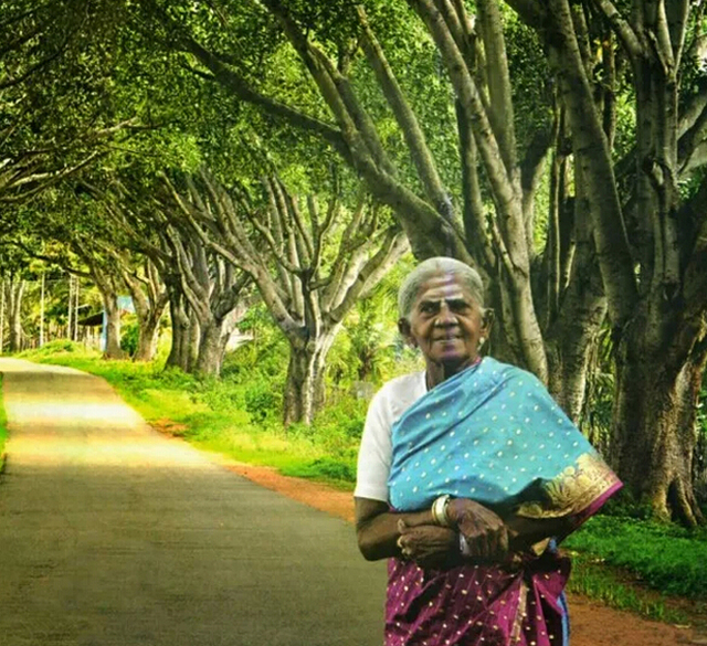 印度百岁老人未生育子女 种384棵树当孩子照顾