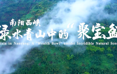 【Hello，河南！】南阳西峡：绿水青山中的“聚宝盆”