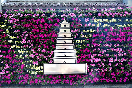 西安市碑林区太白路友谊路十字立体花墙(供图 西安市碑林区城市管理局