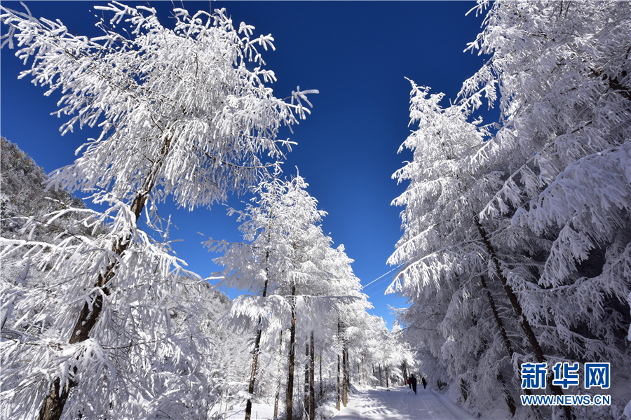 冬季到神農架邂逅一場冰雪奇緣