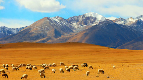 中國科學家破解對於西藏高原的“三大”認識誤區
