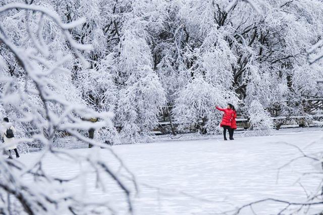 随州大洪山变成绝妙冰雪世界