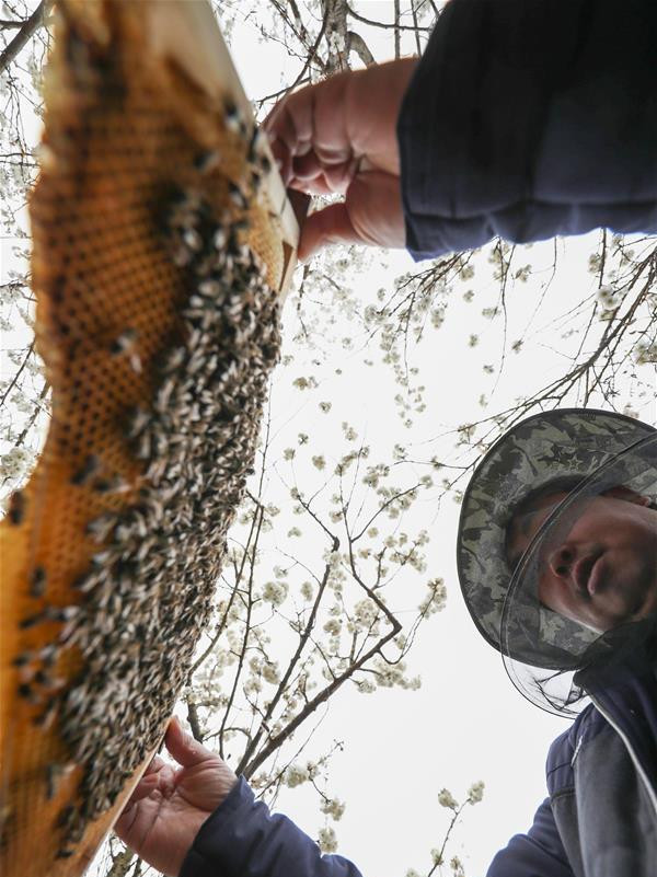 图片默认标题_fororder_4-3_副本