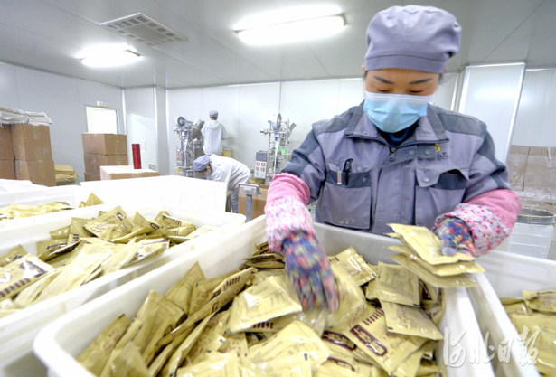 河北安國：中藥材産業鏈不斷延伸