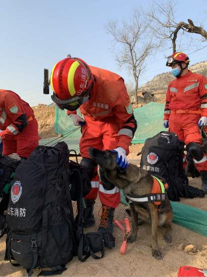 山東舉辦“守護—2021”百人百犬實戰搜救綜合演練