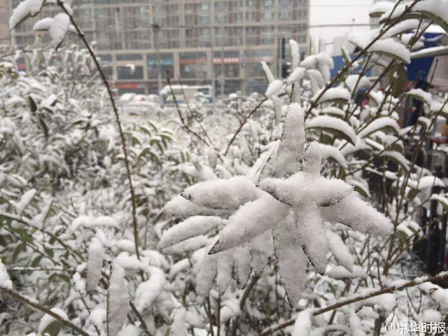 北京发布暴雪蓝色预警信号 连续降雪4天