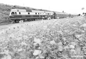 圖片默認標題_fororder_res01_attpic_brief