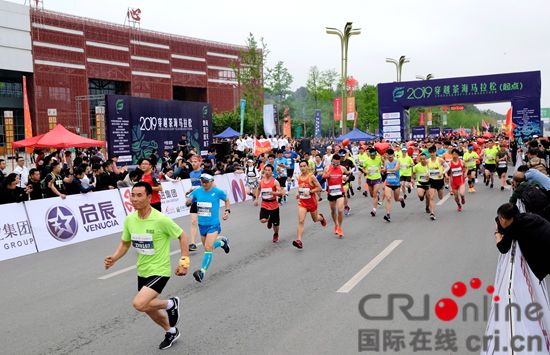 （春来喜看贵茶绿）贵州湄潭：中外马拉松选手茶海里奔跑