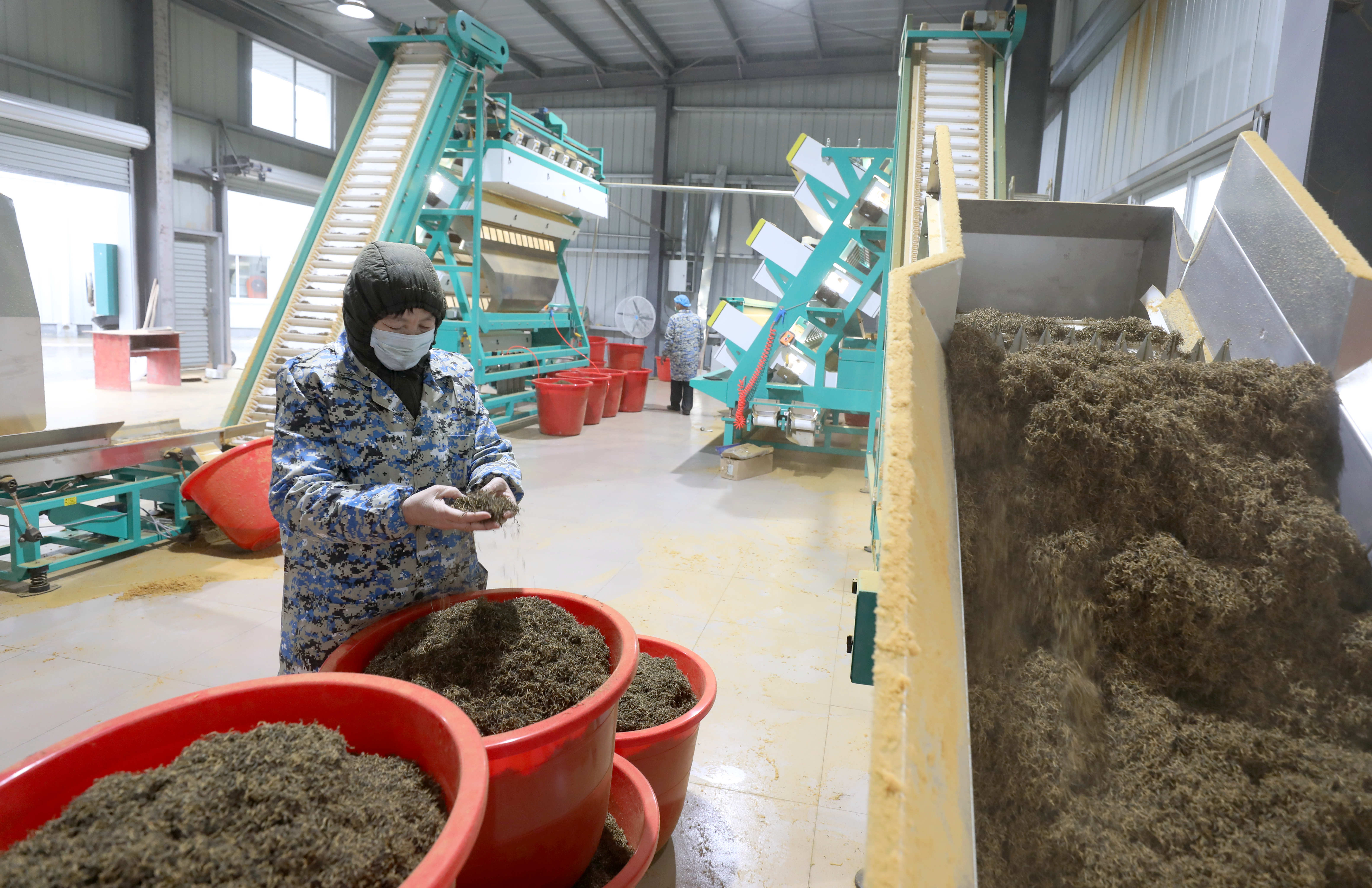 【農業在“奔跑”】廣西少數民族自治縣“重啟”扶貧車間 點亮群眾“增收夢”