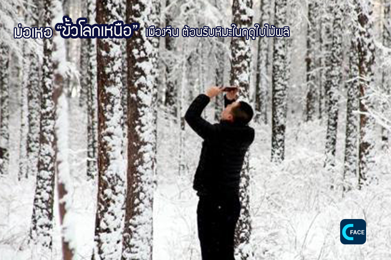 图片默认标题_fororder_04_2