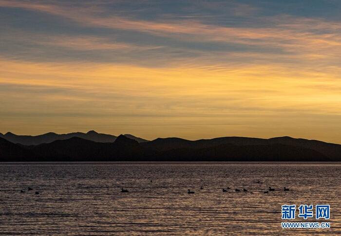 겨울 티베트, 동물들의 지상낙원_fororder_4