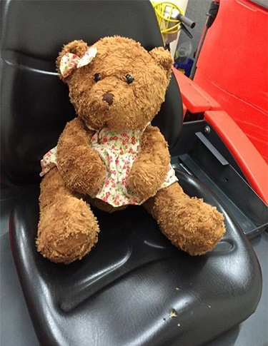 有愛！7萬人助澳大利亞機場“走失玩具熊”回家