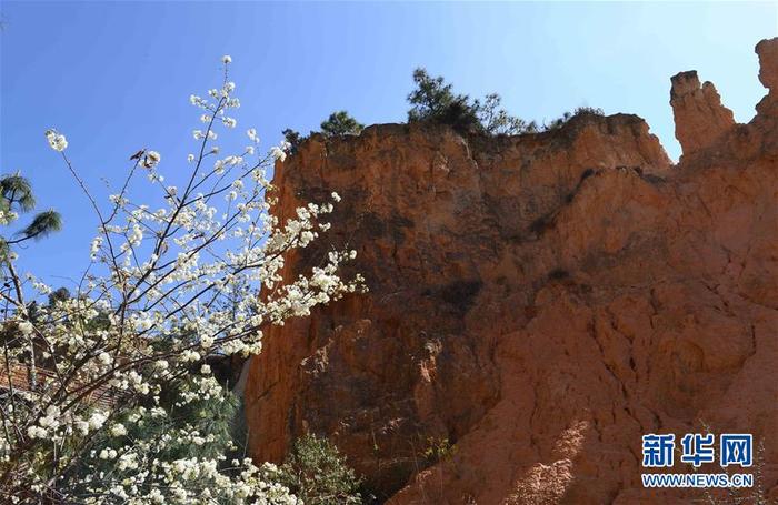 图片默认标题_fororder_1125686267_15837422293101n