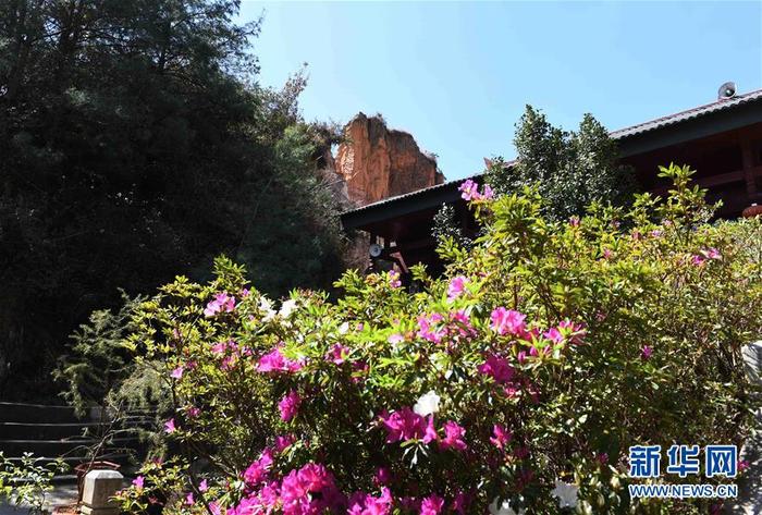 图片默认标题_fororder_1125686267_15837422293721n