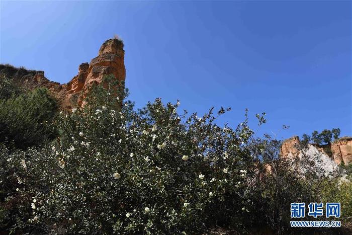 图片默认标题_fororder_1125686267_15837422294651n