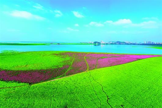 绿漾大江——“画”说长江大保护