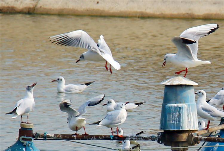 图片默认标题_fororder_图片3