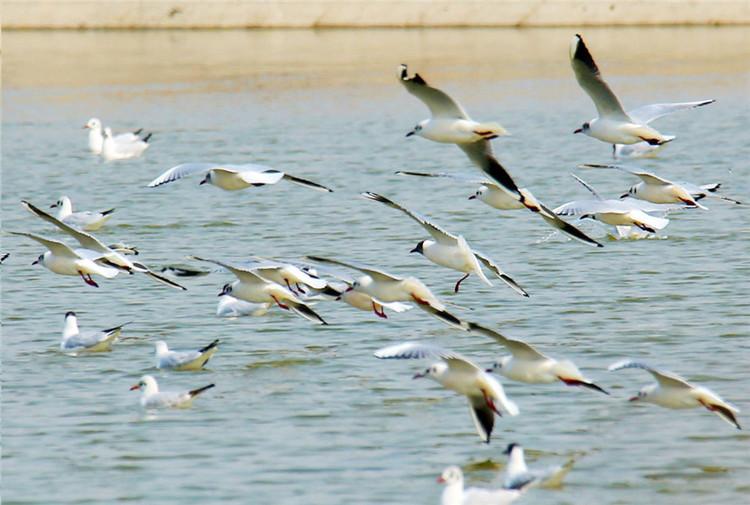 图片默认标题_fororder_图片4