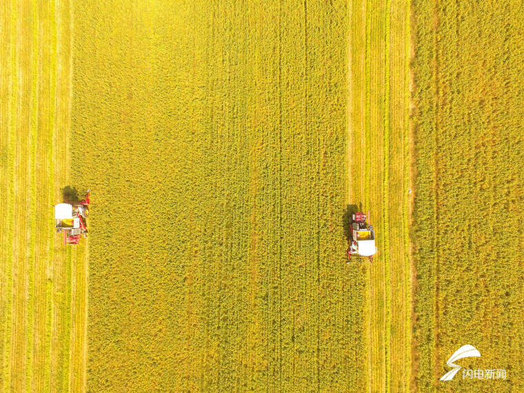 今年“三農”工作怎麼幹？山東省委農村工作會議11個關鍵詞定調