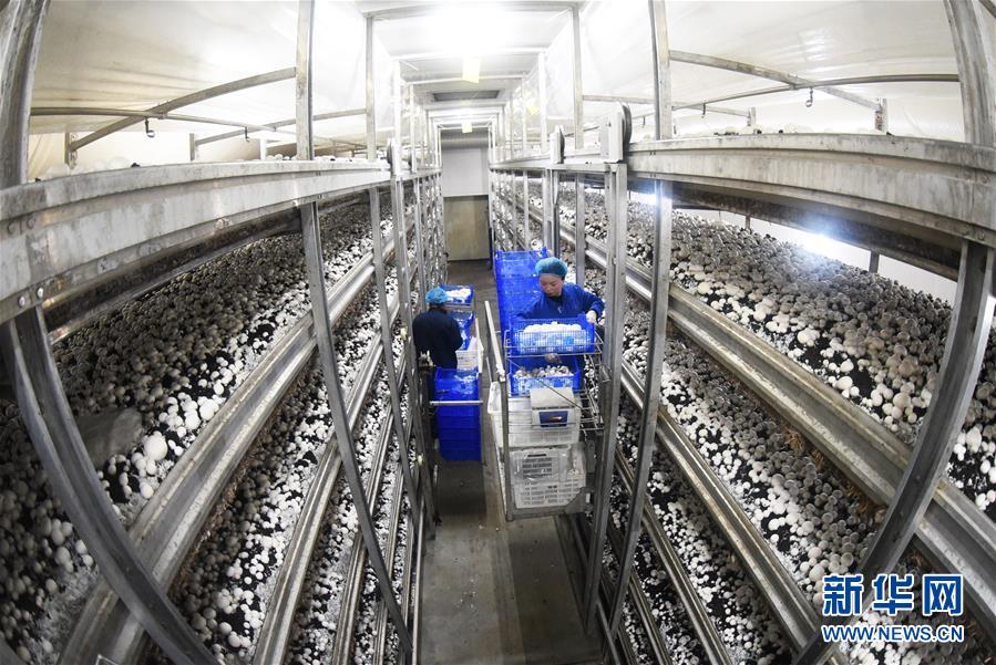 圖片默認標題_fororder_1