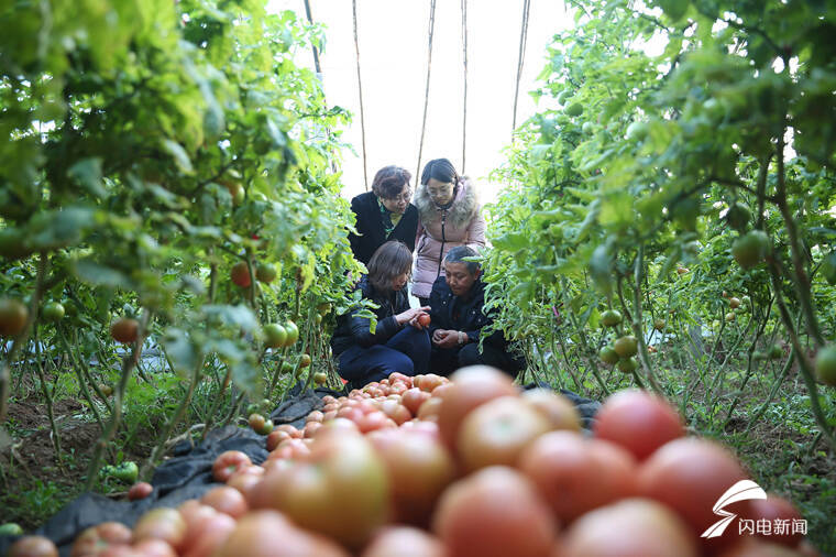 今年“三農”工作怎麼幹？山東省委農村工作會議11個關鍵詞定調