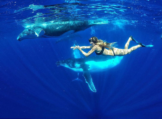 大溪地情侶環球旅行看世界 花式秀恩愛走紅網絡 大溪地情侶環球旅行看世界 花式秀恩愛走紅網絡