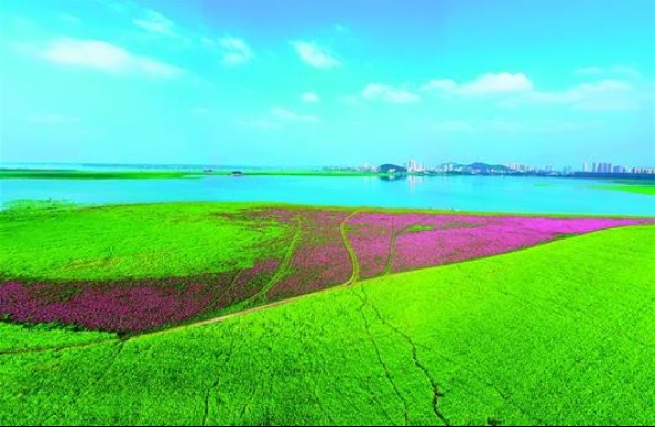 綠漾大江——“畫”説長江大保護