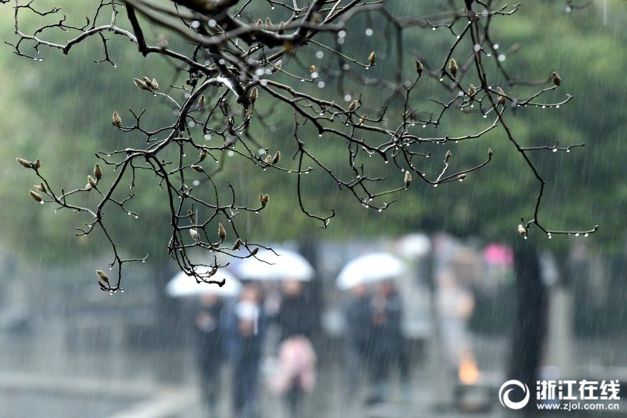杭州：细雨绵长待天晴