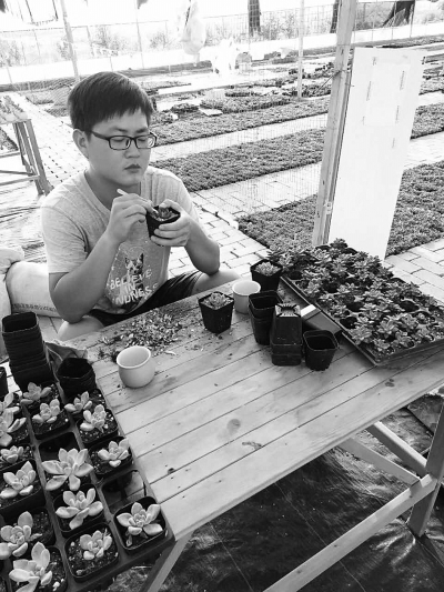 （创新江苏）南京市90后小伙创业 打造精致型家庭农场