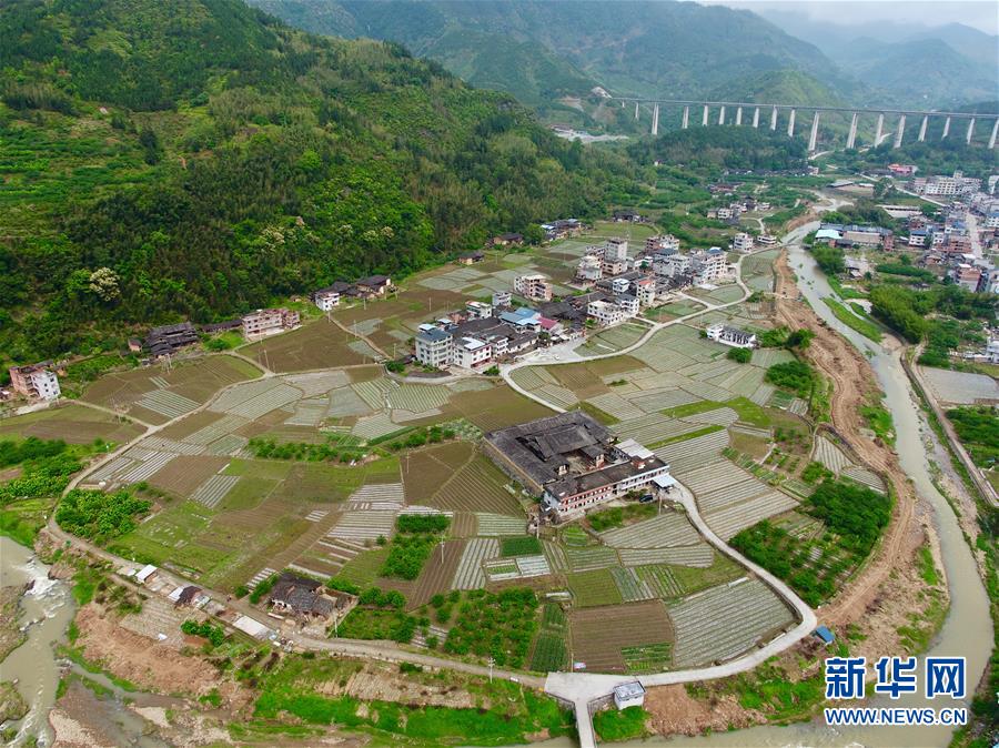 【焦点图】【福州】【移动版】【Chinanews带图】福建永泰：花生种植助农增收