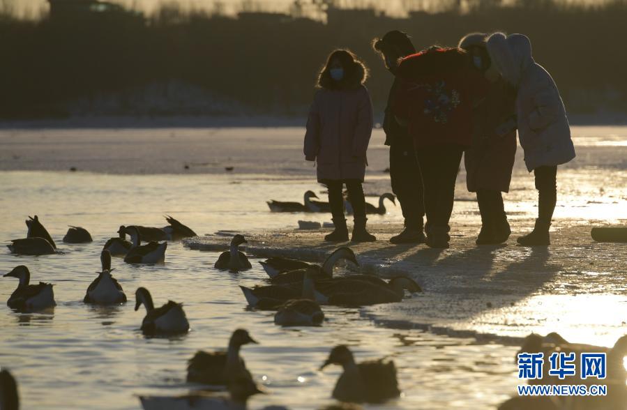 沈阳：寒冬里的精灵_fororder_微信图片_20210119095445