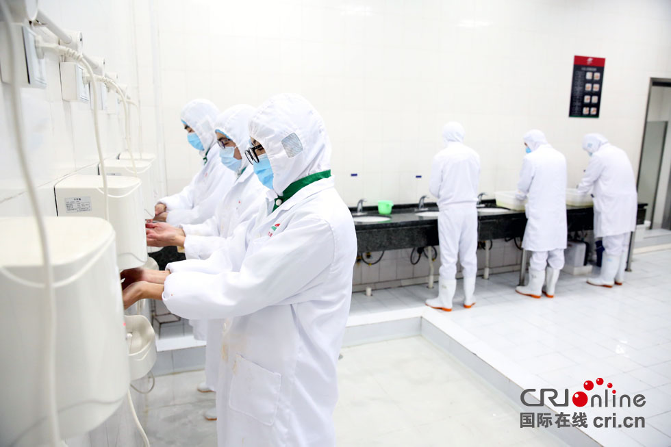 工作人员在进入车间前在洗消间进行洗手消毒.摄影:龚萱