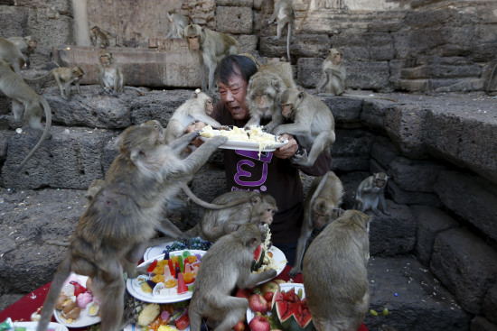 泰国百姓大摆蔬果宴招待猴子 报答其带来游客