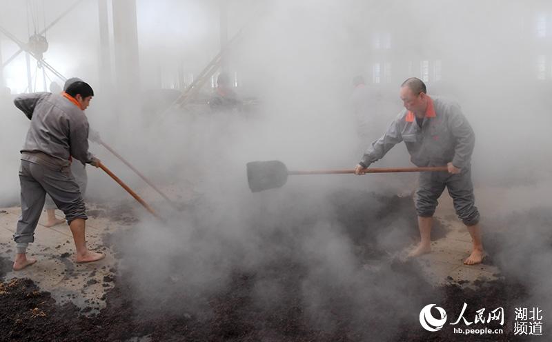 湖北保康：寒冬腊月酿酒忙