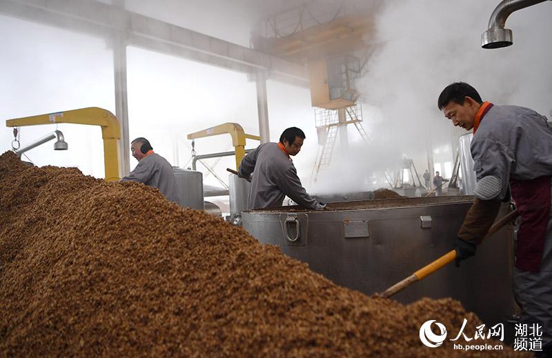 湖北保康：寒冬腊月酿酒忙