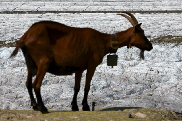 驚人照片展現地球地貌變化 人類活動造就滄海桑田 驚人照片展現地球地貌變化 人類活動造就滄海桑田