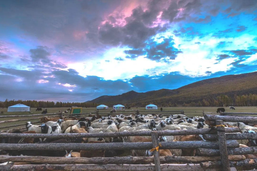 麦克·米切尔：希望与幸福之城