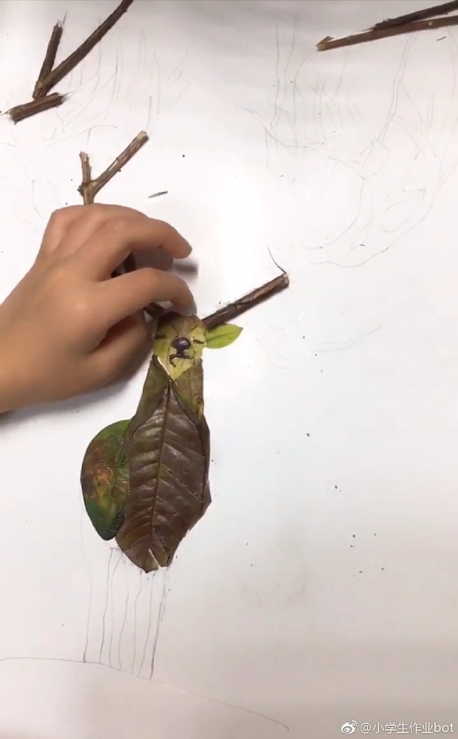 图片默认标题_fororder_手工树叶画作品4