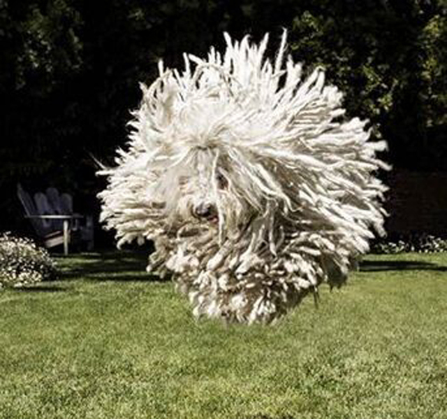 圖片默認標題 圖片默認標題